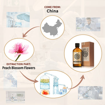 Peach Blossom Essential Oil AKARZ Natural And Pure (30ML,100ML )